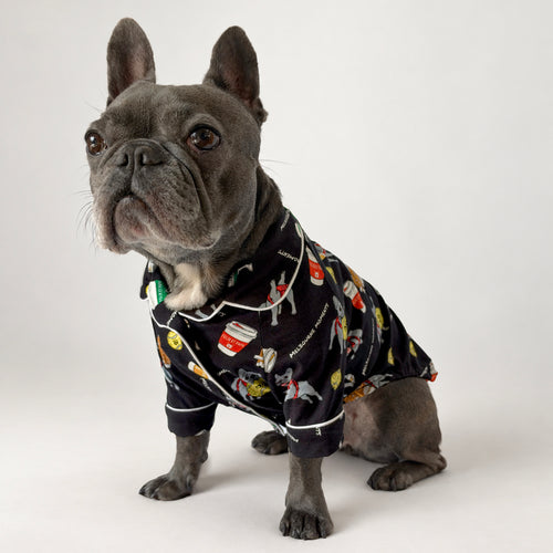 モデル犬がブラックのMelbourne Daysドッグパジャマを着用（Mサイズ）：横向き